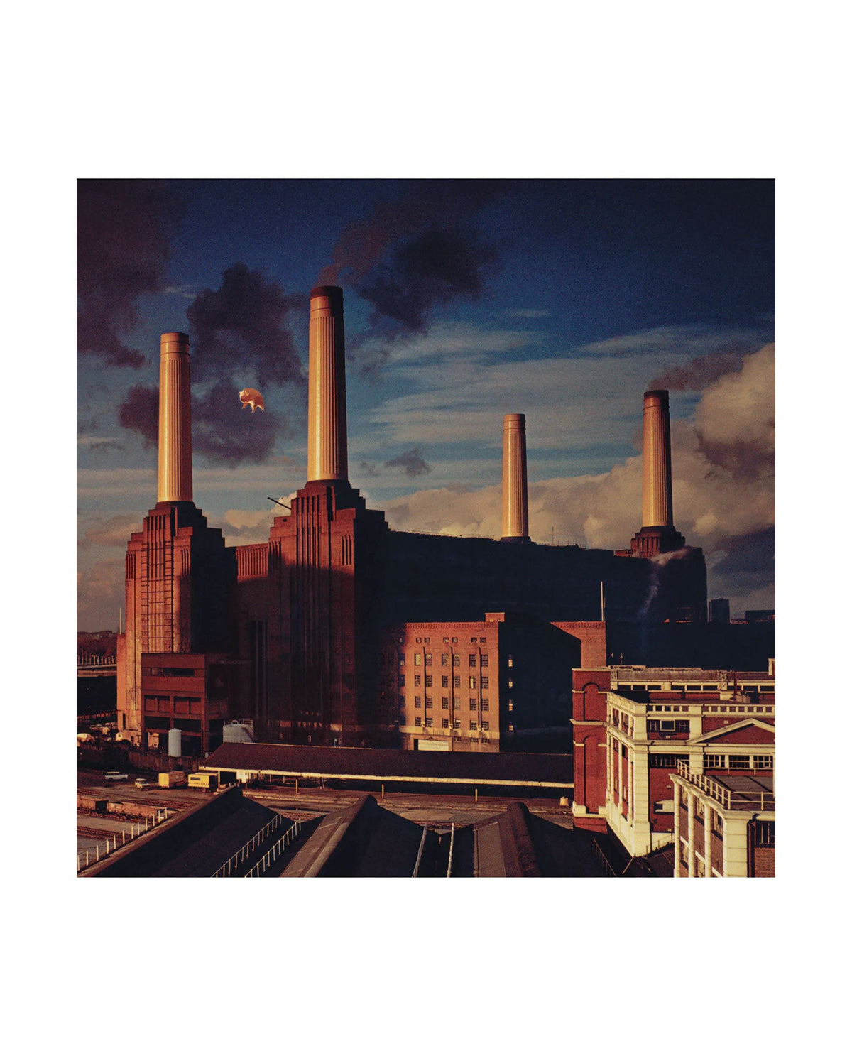 Pink Floyd - Animals - LP