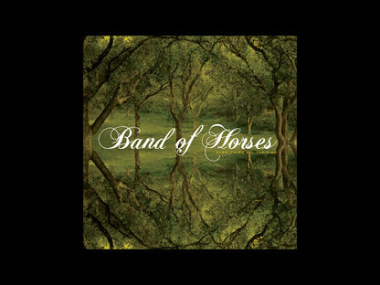 Band Of Horses - Everything All The Time - LP