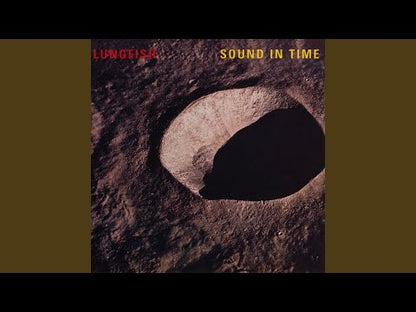Lungfish - Sound In Time - LP - Color