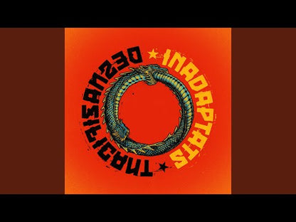 Inadaptats - Desnazificant - LP