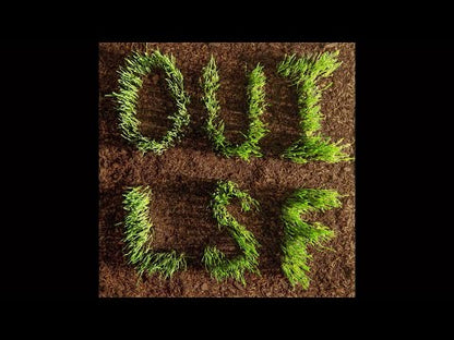 Les Savy Fav - OUI, LSF - LP - Color
