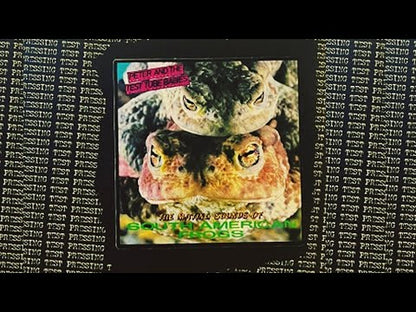 Peter And The Test Tube Babies - The Mating Sounds Of South American Frogs - LP - Color