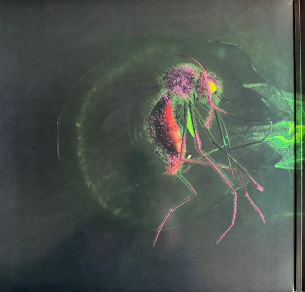 Yeah Yeah Yeahs - Mosquito - LP